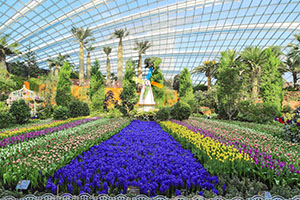 Gardens by the Bay