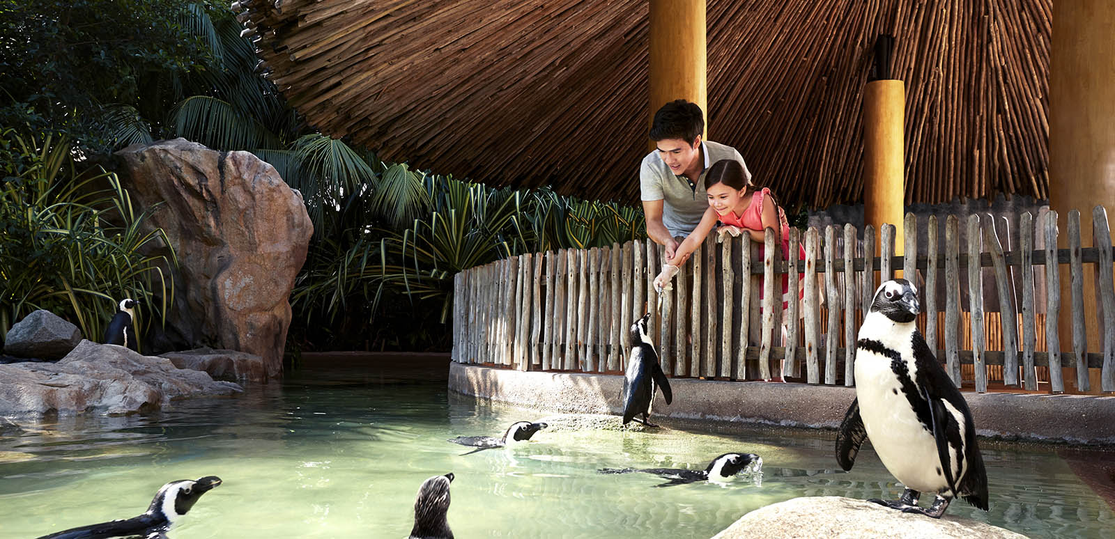 Singapore 7 - Other Attractions - Bird Park